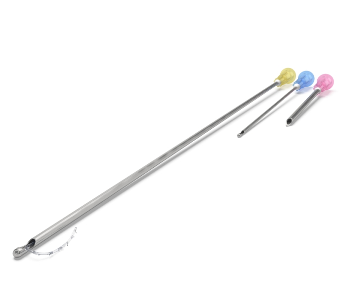 Excellence Visage 2 (EV2)